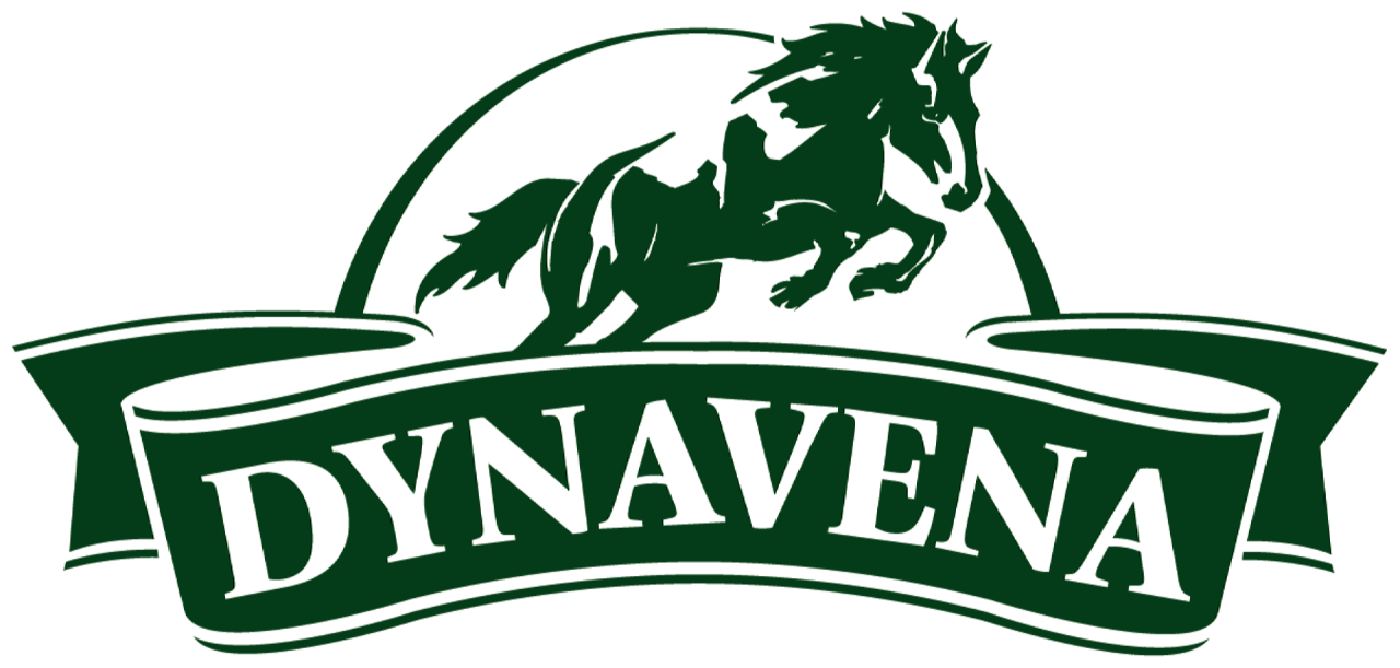 Dynavena